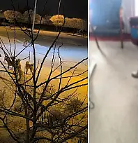 Kayseri'de bir çocuk sokak köpeğinin saldırısına uğradı!