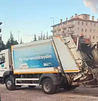 Kayseri'de boş arsada bekliyorlar: Etrafa kötü koku saçıyorlar!