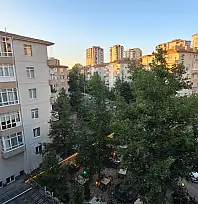 Kayseri'de bu fiyatı görenler incelemeye başladı