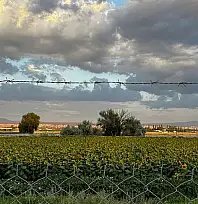 Kayseri'de çiftçileri ilgilendiren tarih belli oldu: ÇKS başvuruları başlıyor!