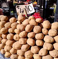 Kayseri'de cuma semt pazarı nerelerde kurulacak? (26 Aralık)