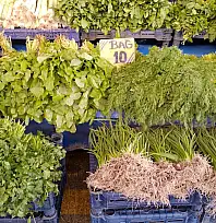 Kayseri'de cuma semt pazarı nerelerde kurulacak? (23 Ocak)