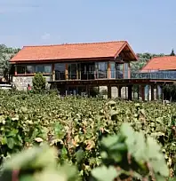 Kayseri'de de bağ evi, hobi bahçesi ve bungalovlar için son karar verildi!
