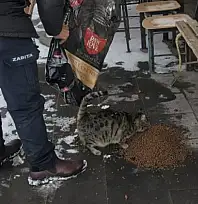 Kayseri'de diğer belediyeler unuttu, Felahiye belediyesi unutmadı