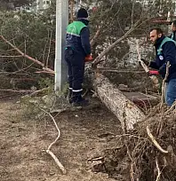 Kayseri'de fırtına alarmı! Büyükşehir ekipleri seferber oldu