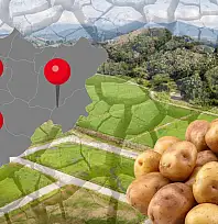 Kayseri'de geçtiğimiz sezon krize neden olmuştu: Valilik harekete geçti!