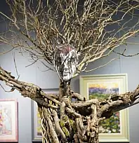 Kayseri'de gündem Erciyes: Özel organizasyon için geri sayım başladı