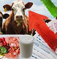 Kayseri'de hayvancılık alarm veriyor: Üretim düşüyor, mutfak yanıyor!