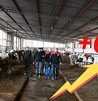 Kayseri'de iki yılda tarihi artış: Hayvancılıkta rekor büyüme!