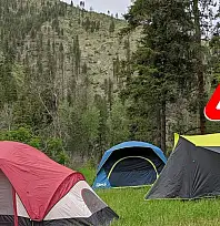 Kayseri'de kamp sezonu başladı: Kene tehlikesine dikkat!
