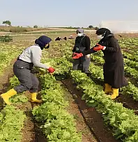 Kayseri'de kooperatiflere kırsal kalkınma desteği!