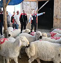 Kayseri'de küçükbaş hayvancılık işletmesinde dikkat çeken ziyaret!