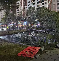 Kayseri'de kuvvetli rüzgar: Ağaç otomobilin üzerine devrildi!
