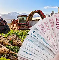 Kayseri'de pancar çiftçisini şaşırtan hesap! 100 dönümden 1 milyon TL