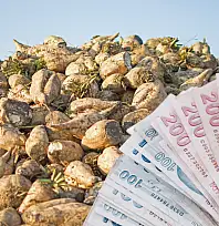 Kayseri'de pancar fiyatı belli oldu! Üretici hayal kırıklığına uğradı!