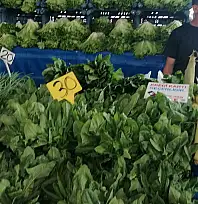 Kayseri'de pazartesi semt pazarı nerelerde kurulacak? (26 Ocak)