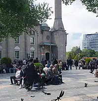 Kayseri'de şikayetler arttı: Vatandaşı canından bezdiren istila!