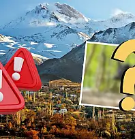Kayseri'de şikayetler peş peşe geliyordu: Yabani hayvan için av çalışması yapılacak... O tarihlere dikkat!