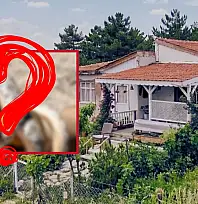Kayseri'de sinsi tehlike: Evine girdi, ne yapacağını şaşırdı… Bağ evinde yaşayanlar dikkat!