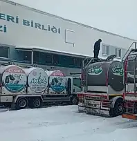 Kayseri'de süt seferberliği! Kışa rağmen tonlarca süt böyle kurtarıldı