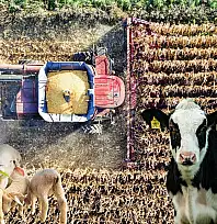 Kayseri'de tarıma milyonluk nefes: Destekler hesaplara yattı!