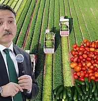 Kayseri'de tarımda dev hamle! Üretim 70 bin tona çıkacak