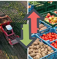 Kayseri'de tarla ile market arasında dikkat çeken fark: Fiyat üç katına çıkıyor!