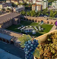 Kayseri'de Üzüm Festivali başlıyor: Yerel üreticilere duyuru!