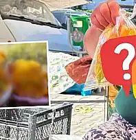 Kayseri'de yazın bereketi kışa saklanıyor: Sabah erkenden başlayıp buzluğa kaldırıyorlar!