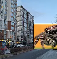Kayseri'de yazın ortasında şikayetler arttı! Belediye ücret karşılığında çözüm sunuyor