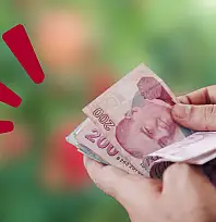 Kayseri'de yeni gelir kapısı! Kilosu cep yakan üründe ilk hasat