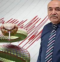 Kayseri'de yılanlar depremi mi haber veriyor? Evsen'den kritik açıklama