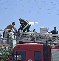 Kayseri'de yürek burkan ihbar! 3 gündür bekleyen yavrular son anda kurtarıldı
