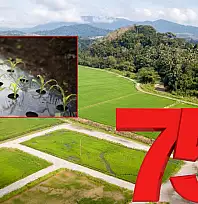 Kayseri'de yüzde 75 hibe verilen projede yeni gelişme: Sahiplerini buldu!