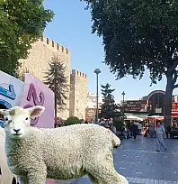 Kayseri et piyasasında 5 TL'lik dalgalanma!