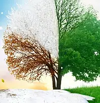 Kayseri haftalık tahmin raporu: Bir gün bahar, ertesi gün kış!