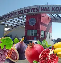 Kayseri Hali'nde güncel fiyatlar: Sebze ve meyvede son durum ne?