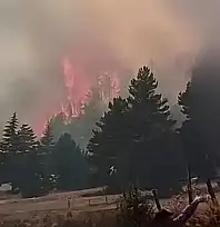 Kayseri ile Adana sınırında orman yangını! Ekipler bölgeye sevk edildi