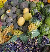 Kayseri'nin en doğal pazarı yarın kapılarını açıyor! Üreticiden direkt satışın adresi belli oldu