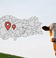 Kayseri'nin komşusunda emsal karar: Aldığı kurbanlık hasta çıkan vatandaş hakkını aldı!