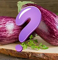 Kayseri'nin meşhur yamula patlıcanı için geri sayım! İlk hasat ne zaman?