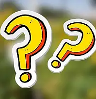 Kayseri ormanlarında saklı bir mucize: Bu bitki sağlık için ne kadar etkili?