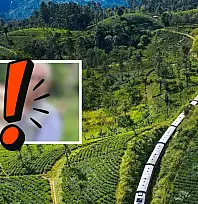 Kayseri'ye bereket geldi: O üründe bolluk yaşanıyor, kilosu 250-500 TL arasında!