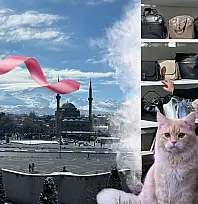 Kedisi Fark Ettirdi, Kanseri Yendi - Hayallerimden Vazgeçmedim