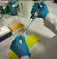 Kene ölümlerine çare Kayseri'den geldi: Aşı çalışmalarında kritik eşik aşıldı!