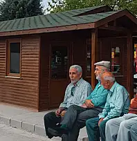 Koca çınarlar istedi, Kayserili belediye ihaleye çıktı! Tam 4 adet yaptırılacak!