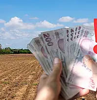 Komşuda fırsat alarmı! 6 parsel birden satışa çıkıyor ''Bu metrekareye bu fiyat olur mu?''