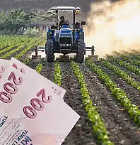 Milyonlarca liralık destek ödemesi hesaplara geçiyor: İşte rakamlar...