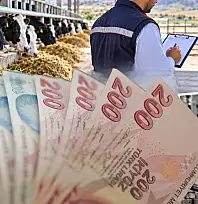 Süt üreticilerine yeni destek kapısı! Bakanlık şartları değiştirdi