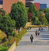 Üniversite hayali kuran milyonlarca öğrenciyi ilgilendiriyor: Kayıt takvimi belli oldu!